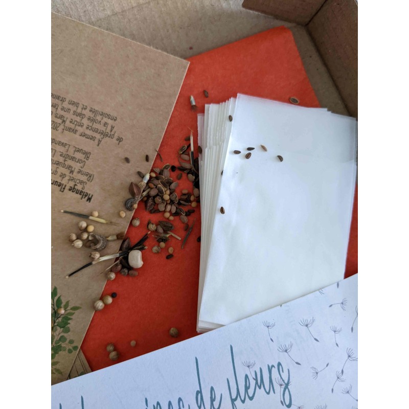 kit-box-sachet-graines-semer-a-offrir-cadeaux-invites-mariage-fleurs-champetre-bapteme-diy