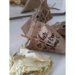 sachet-graines-fleurs-a-semer-berlingot-papier-cadeau-invite-personnalise-ethique-ecoresponsable-mariage-bapteme-dragee